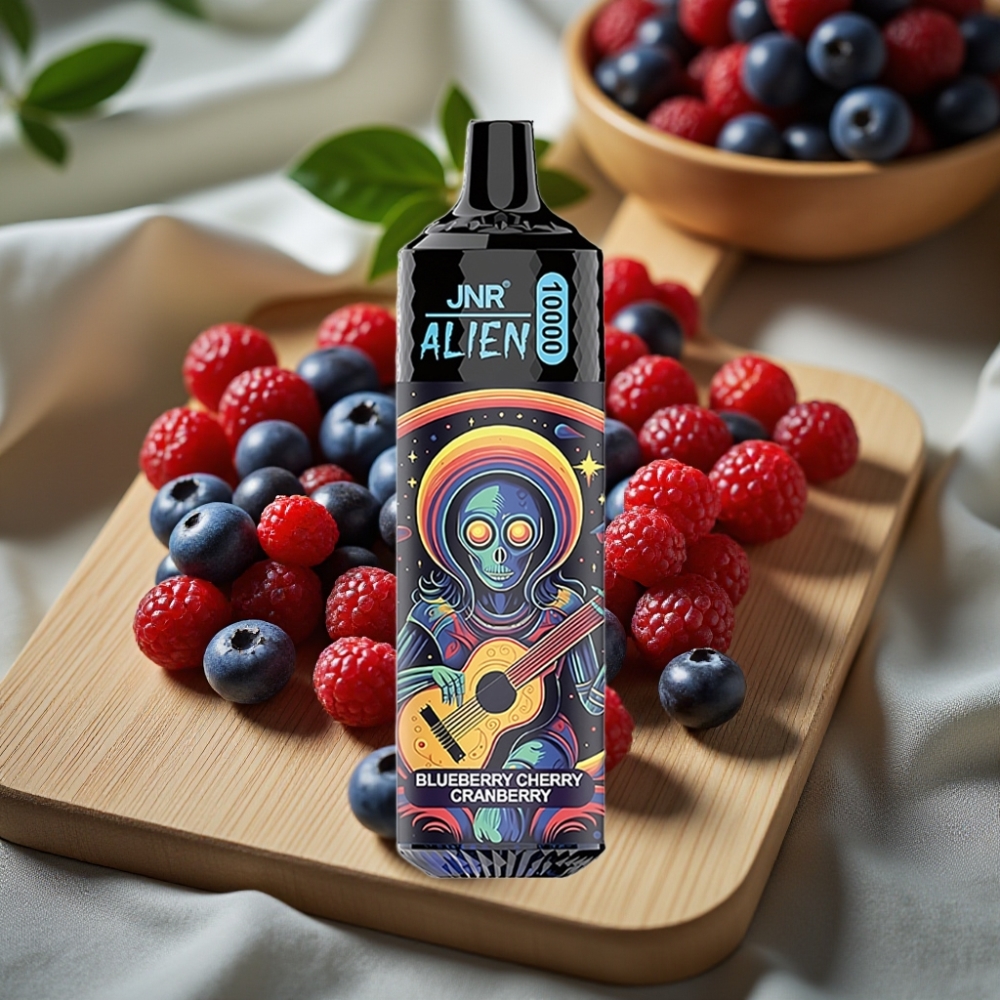 JNR Alien 10000 Puffs Disposable Vape Bosbes Kers Cranberry 850mAh Type-C RGB