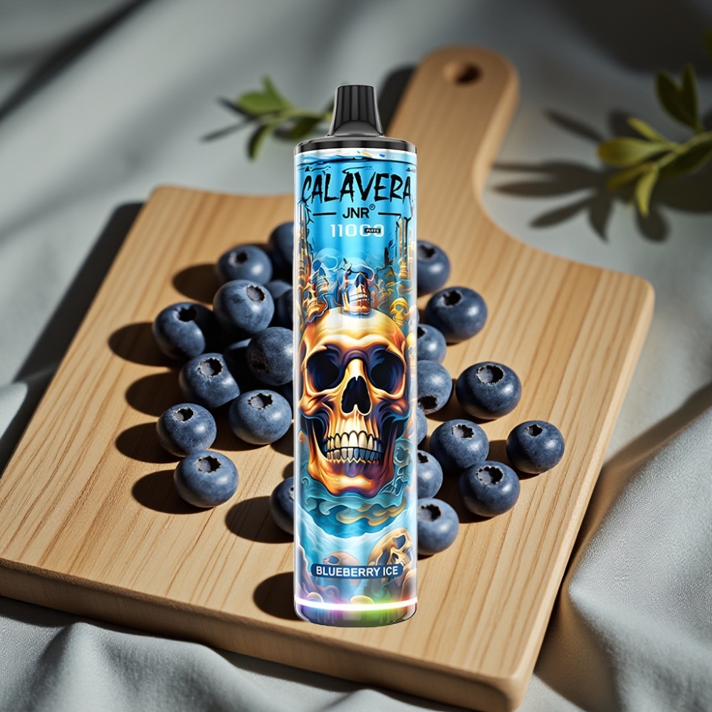 JNR Calavera 11000 Puffs Disposable Vape Bosbes IJs Type-C 850mAh 21ml 1.0ohm Mesh