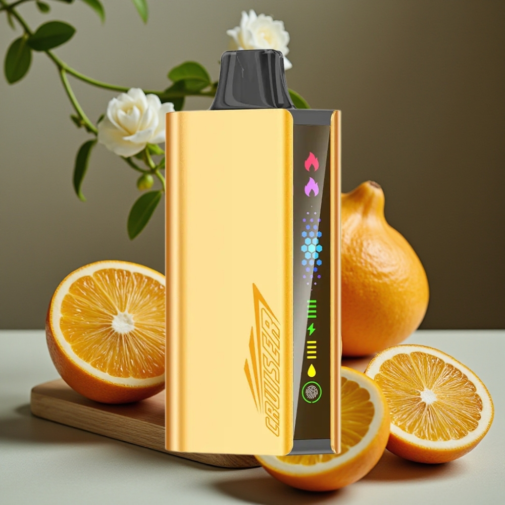 JNR Cruiser 12000 Puffs Oplaadbare Disposable Vape Koel Munt 3500mAh 25ml Dual Mesh