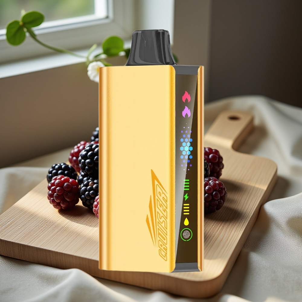 JNR Cruiser 12000 Puffs Opladen Niet Nodig Disposable Vape Braambes IJs 3500 mAh 25ml 50mg/ml