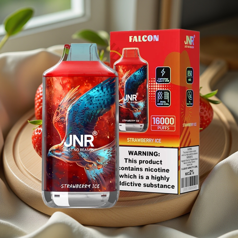 JNR Falcon 16000 Puffs Disposable Vape Aardbei IJs 850mAh 22ml Dual Mesh Coil Type C