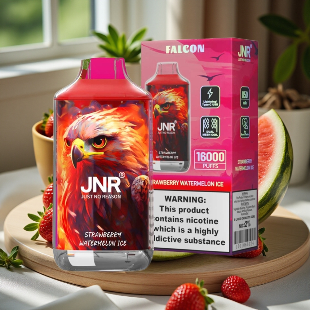 JNR Falcon 16000 Puffs Disposable Vape Aardbei Watermeloen IJs 850mAh 22ml Dual Mesh Coil Type C LED