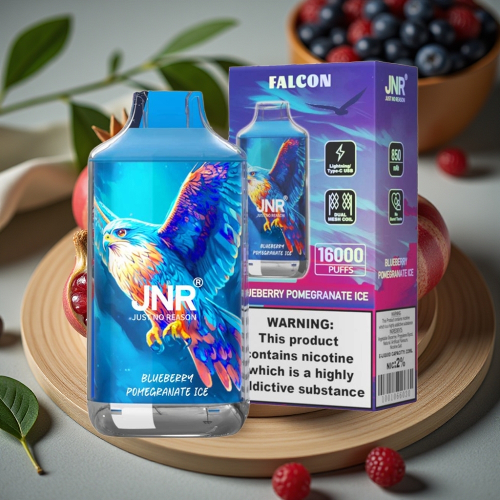 JNR Falcon 16000 Puffs Disposable Vape Blauwe Bes Granaatappel Ijs 850mAh 22ml Dual Mesh Coil Type C LED Display 0%2%