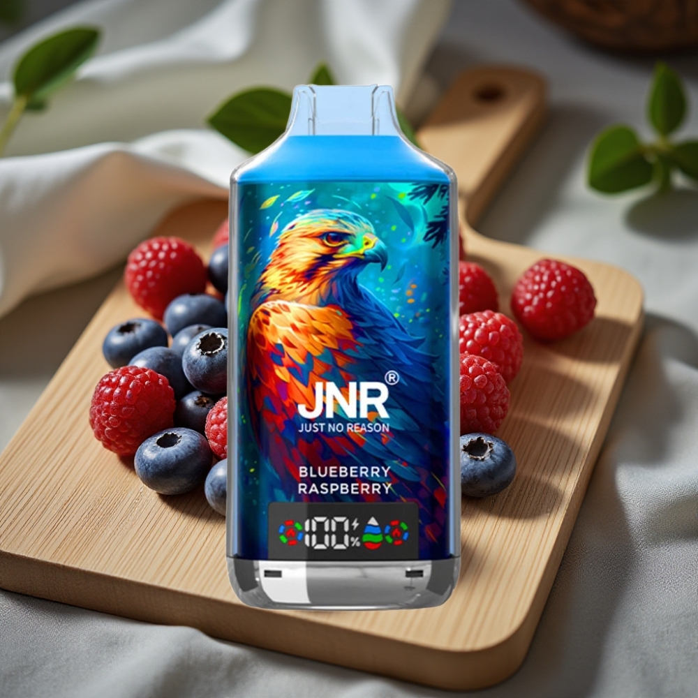 JNR Falcon X 18000 Puffs 750mAh 24ml Dual Mesh Coil Digital Display Type-C Blauwe Bes Framboos