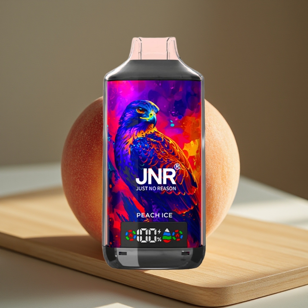 JNR Falcon X 18000 Puffs 750mAh 24ml Dual Mesh Coil Type-C Perzijs IJs