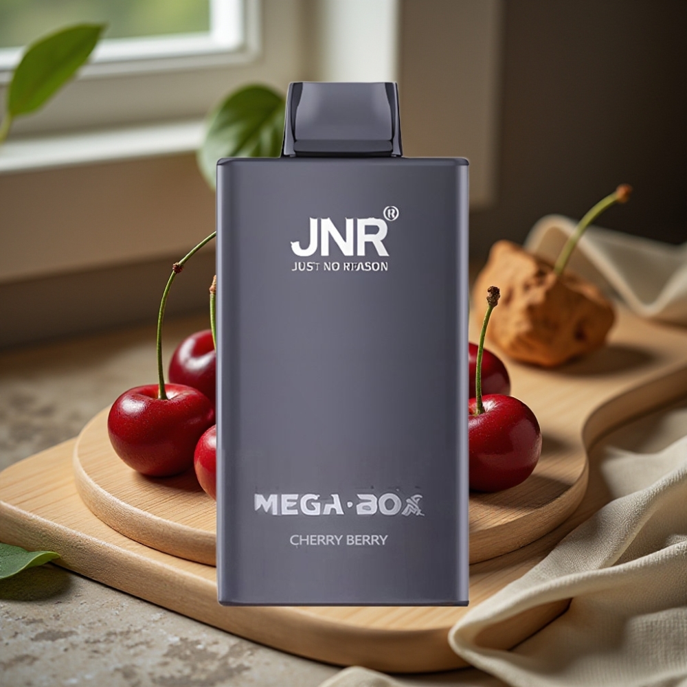 JNR Mega Box 25000 Puffs Disposable Vape Kers Bes Dual Mesh Coil Type-C 30ml 850mAh 2% Nicotine