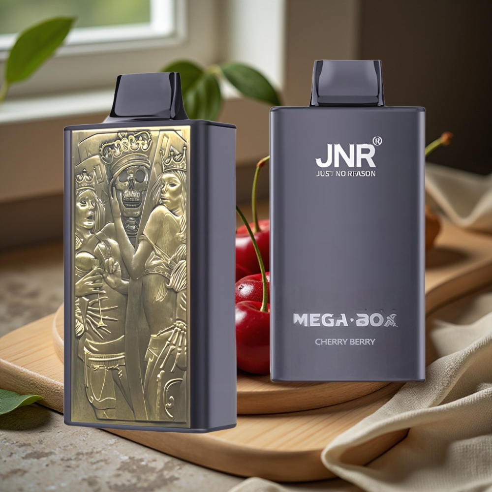 JNR Mega Box 25000 Puffs Disposable Vape Kers Bes Dual Mesh Coil Type-C 30ml 850mAh 2% Nicotine