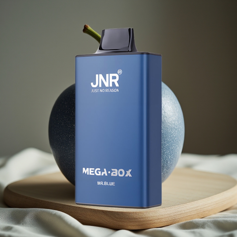 JNR Mega Box 25000 Puffs Disposable Vape Meneer Blauw 30ml 850mAh Dual Mesh Coil Type-C