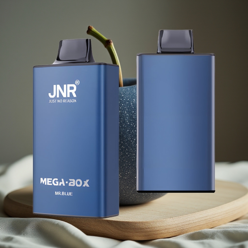 JNR Mega Box 25000 Puffs Disposable Vape Meneer Blauw 30ml 850mAh Dual Mesh Coil Type-C
