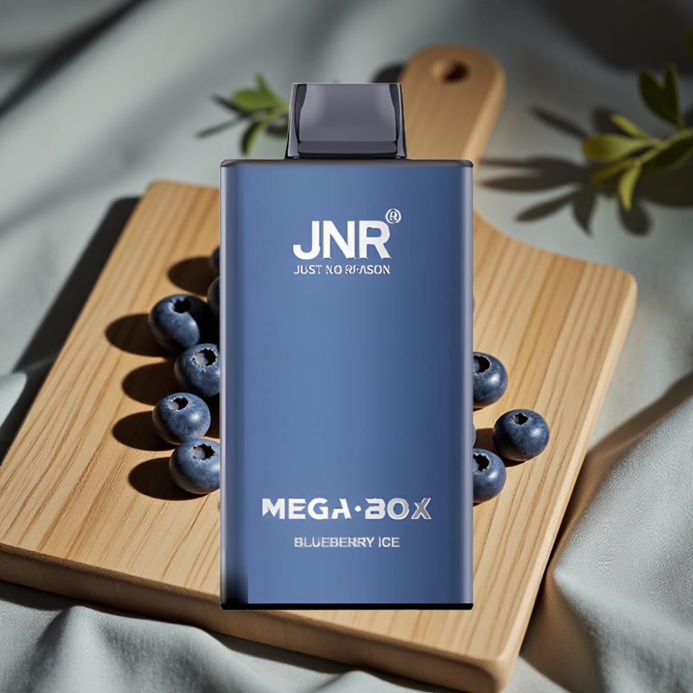 JNR Mega Box 25000 Puffs Wegwerp Vape Bosbes IJs 30ml 850mAh Dual Mesh Coil Type-C