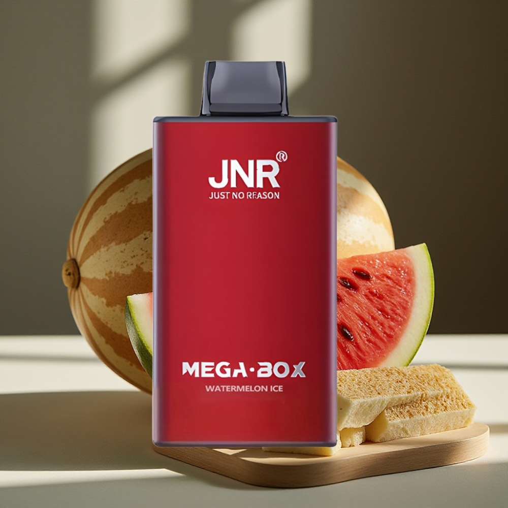 JNR Mega Box 25000 Puffs Wegwerp Vape Watermeloen IJs 30ml 850mAh Dual Mesh Coil Type-C