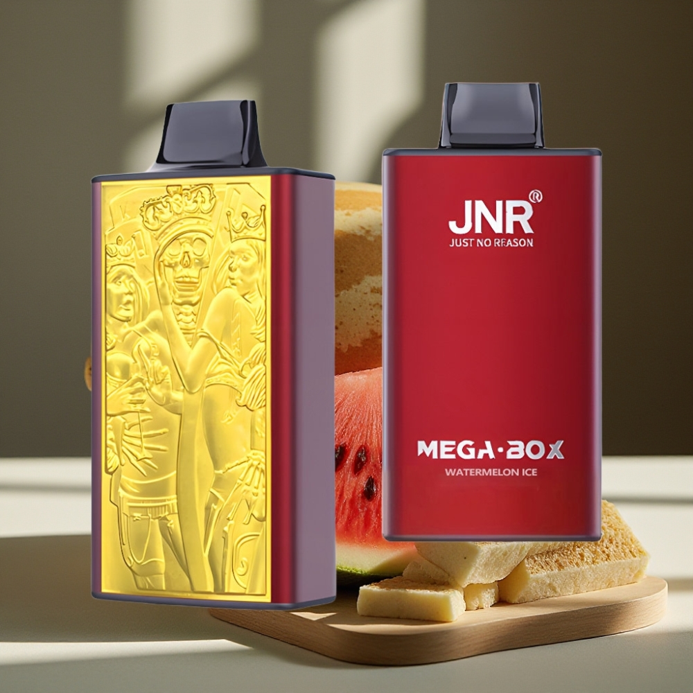JNR Mega Box 25000 Puffs Wegwerp Vape Watermeloen IJs 30ml 850mAh Dual Mesh Coil Type-C