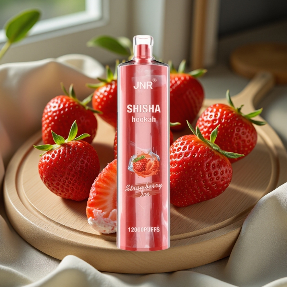 JNR Shisha Hookah 12000 Puffs Disposable Vape Aardbei IJs 750mAh Type-C 24ml 0.6 Ohm