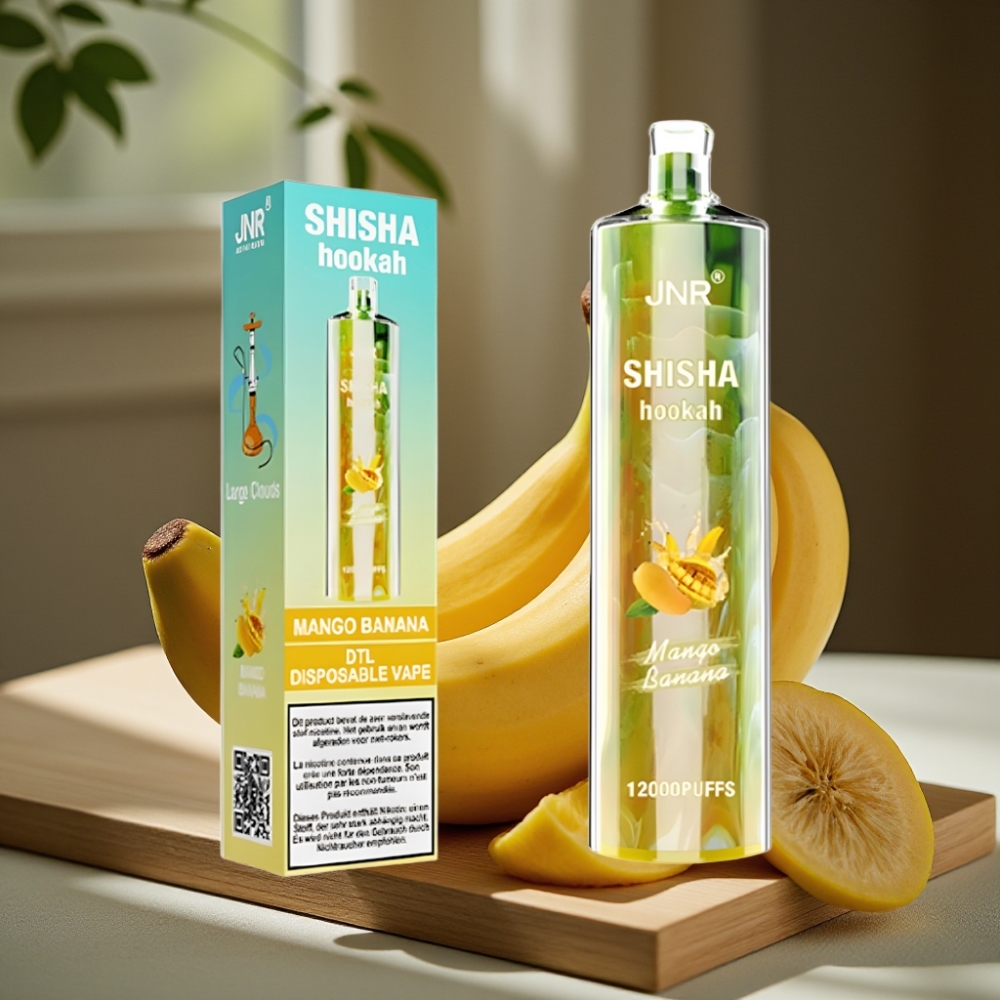 JNR Shisha Hookah 12000 Puffs Disposable Vape Mango Banaan 750mAh Type-C 24ml