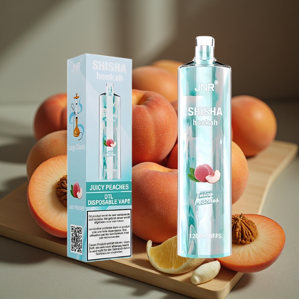 JNR Shisha Hookah 12000 Puffs Disposable Vape Sappige Perziken 750mAh Type-C