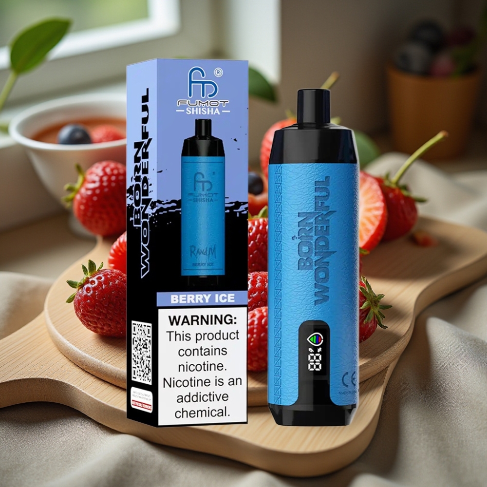 RandM Fumot Shisha 10000 Puffs Disposable Vape Bes IJs LED Type-C 850mAh 18ml 0.6ohm